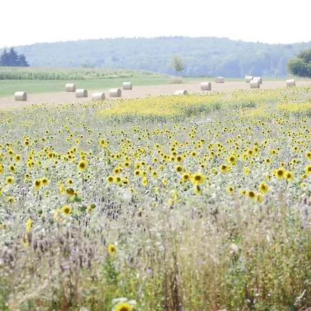 Eichhoelzle Appartement