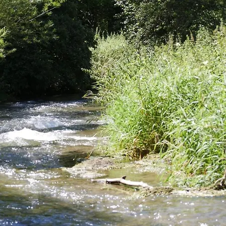 Eichhoelzle *